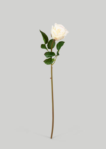 Cream Blush Natural Touch Rose