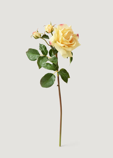 Real Touch Faux Juliet English Rose in Yellow