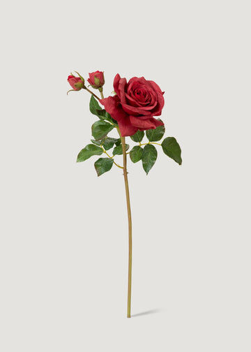 Real Touch English Rose