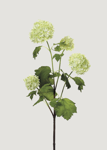 Faux Snowball Flowers in Cream Green