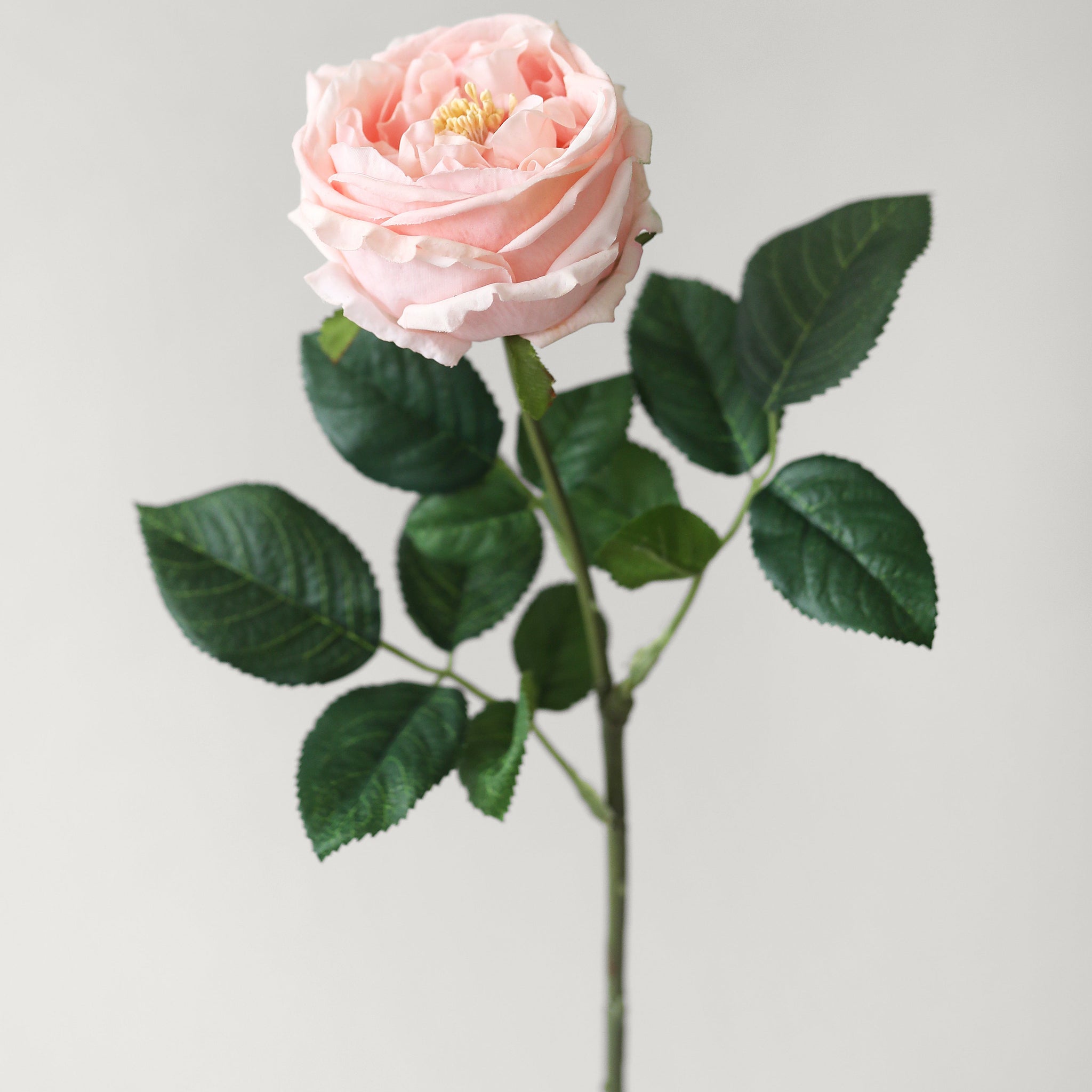 Real Touch Pink Rose
