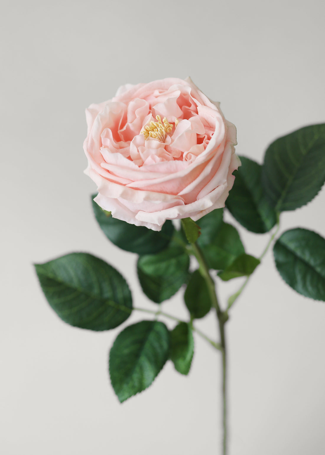 Real Touch Pink Rose
