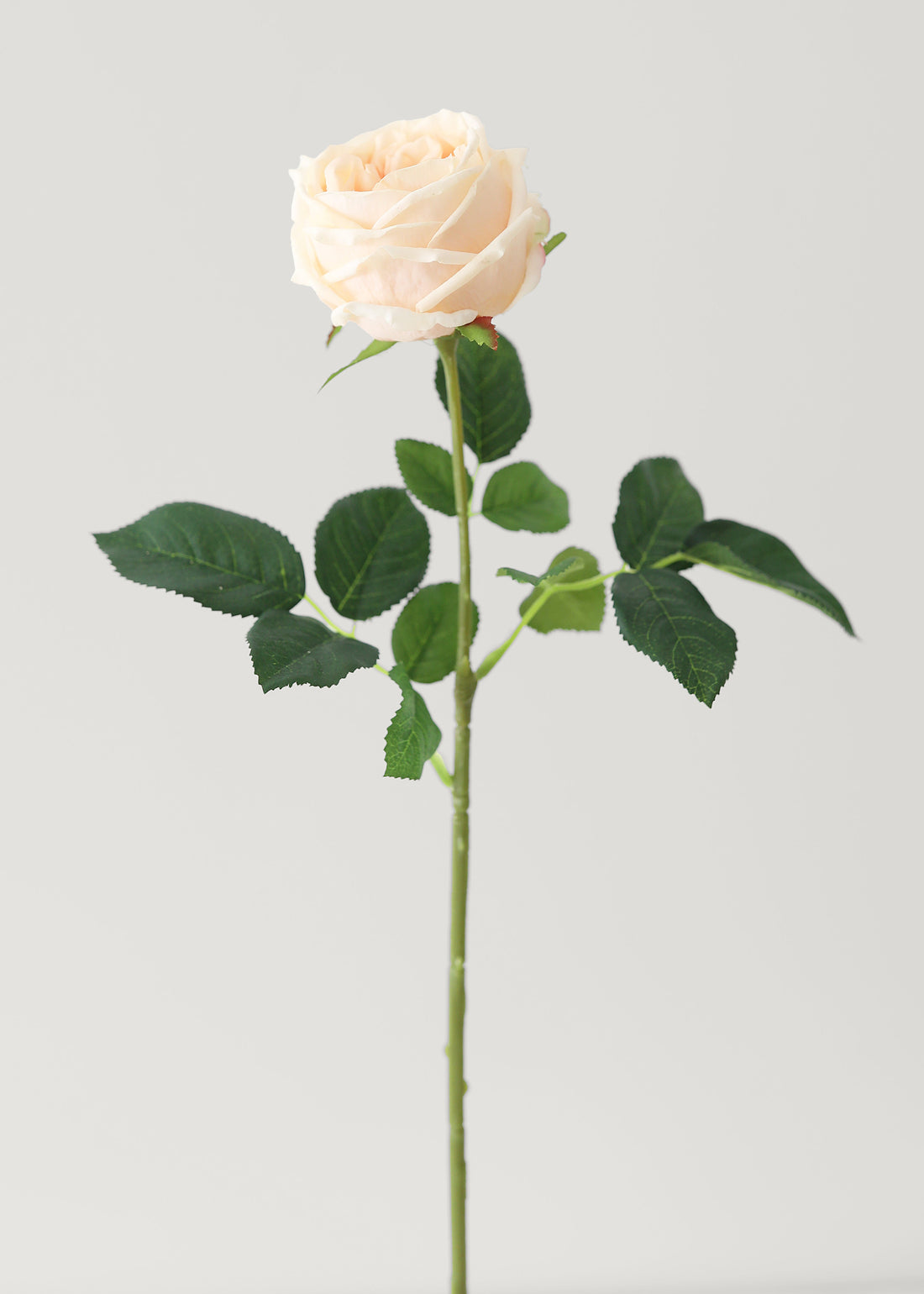 Peach Real Touch Rose Artificial Flower