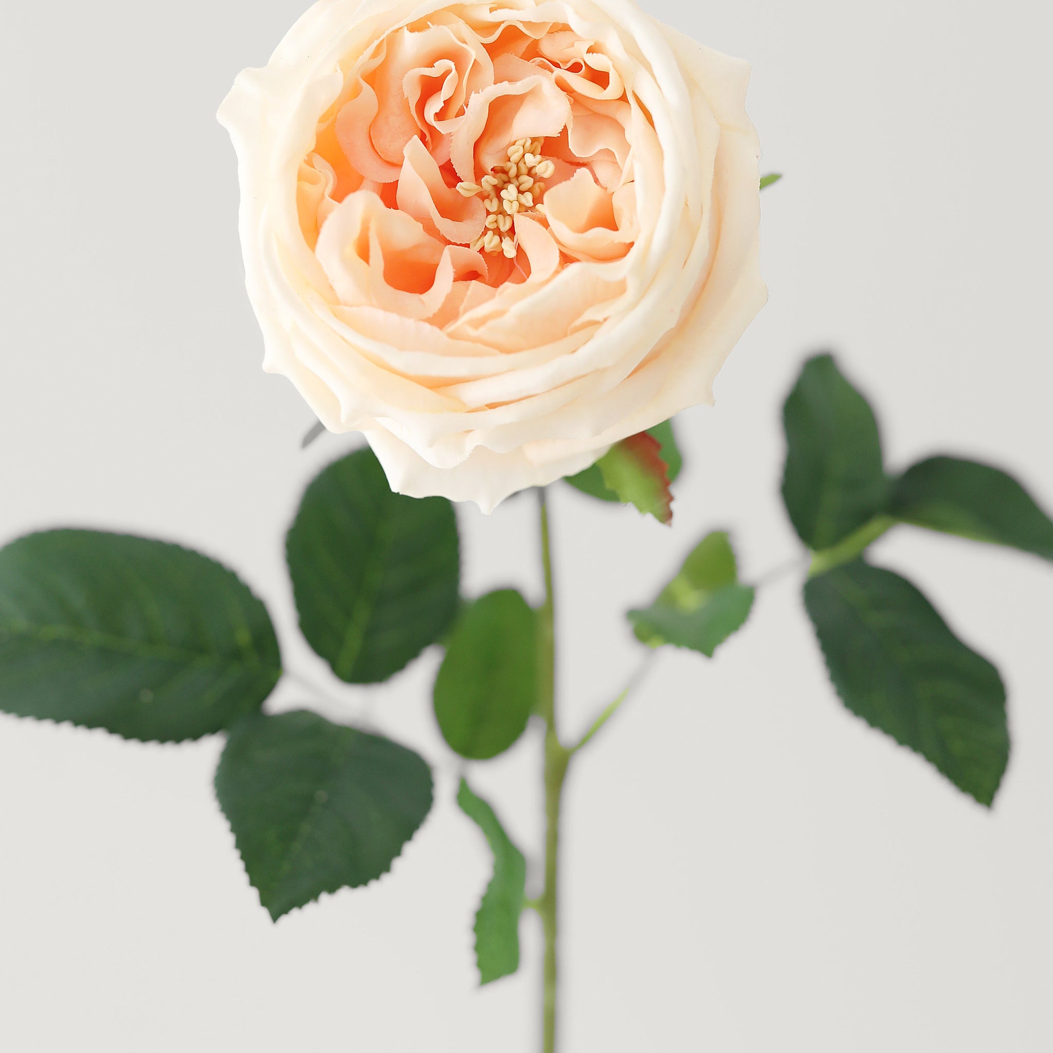 Peach Real Touch Rose Artificial Flower