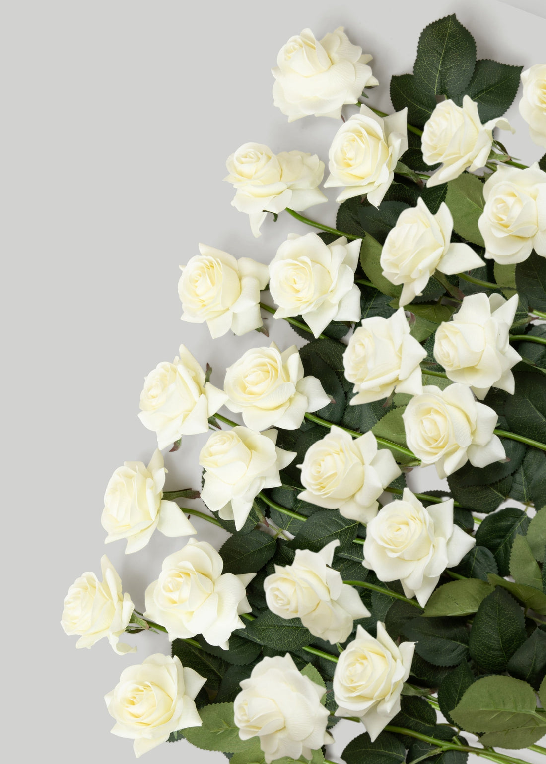 Case of Real Touch Cream Roses