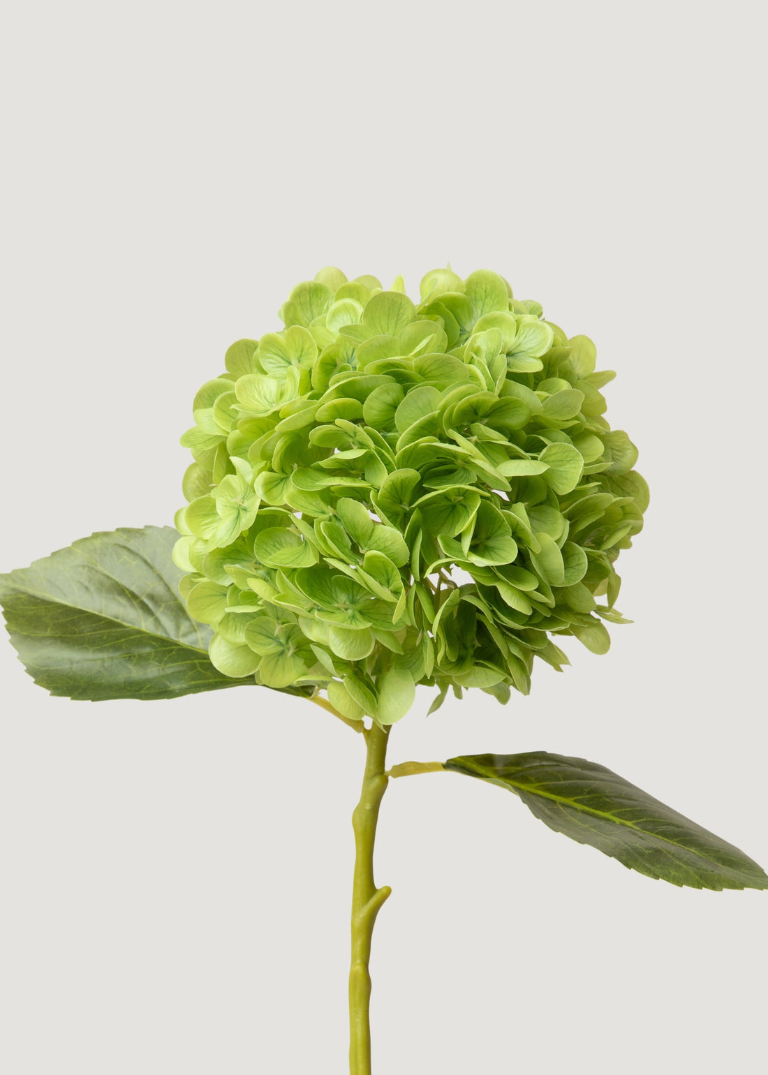 Real Touch Hydrangea 