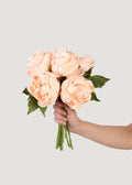 Blush Peach Peony Bouquet