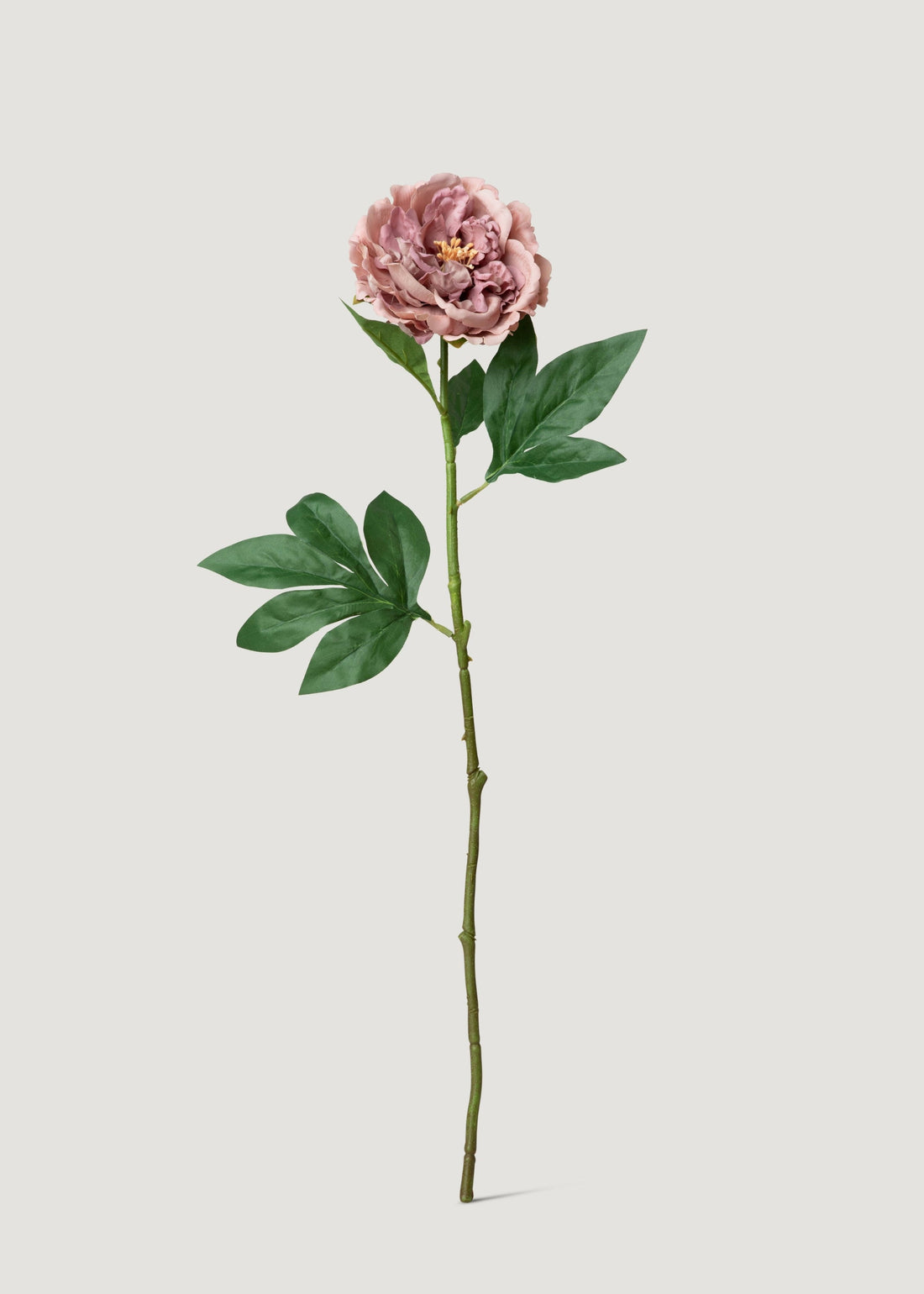 Mauve Pink Real Touch Peony