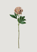 Mauve Taupe Real Touch Peony 