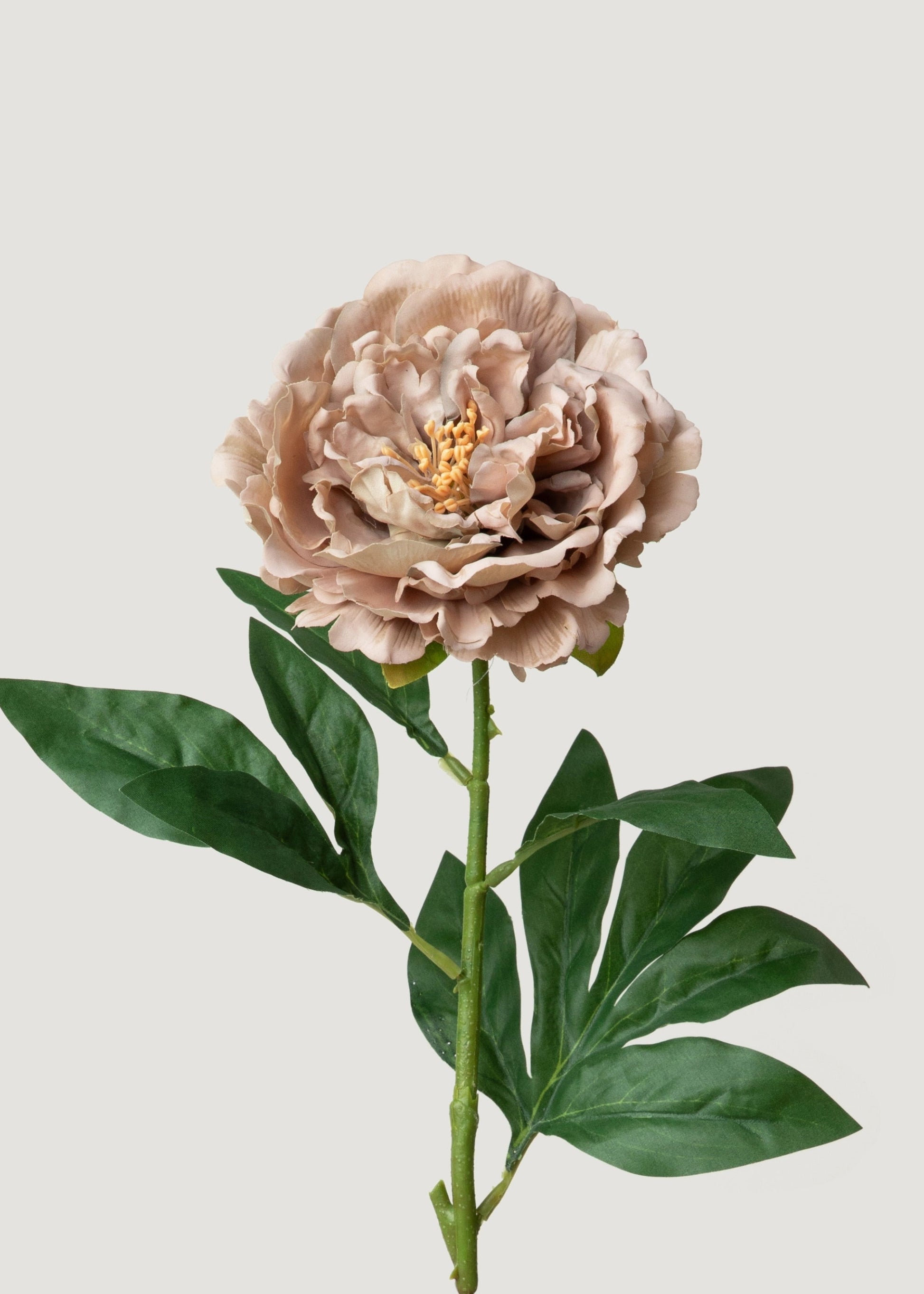 Real Touch Peony in Mauve Taupe 
