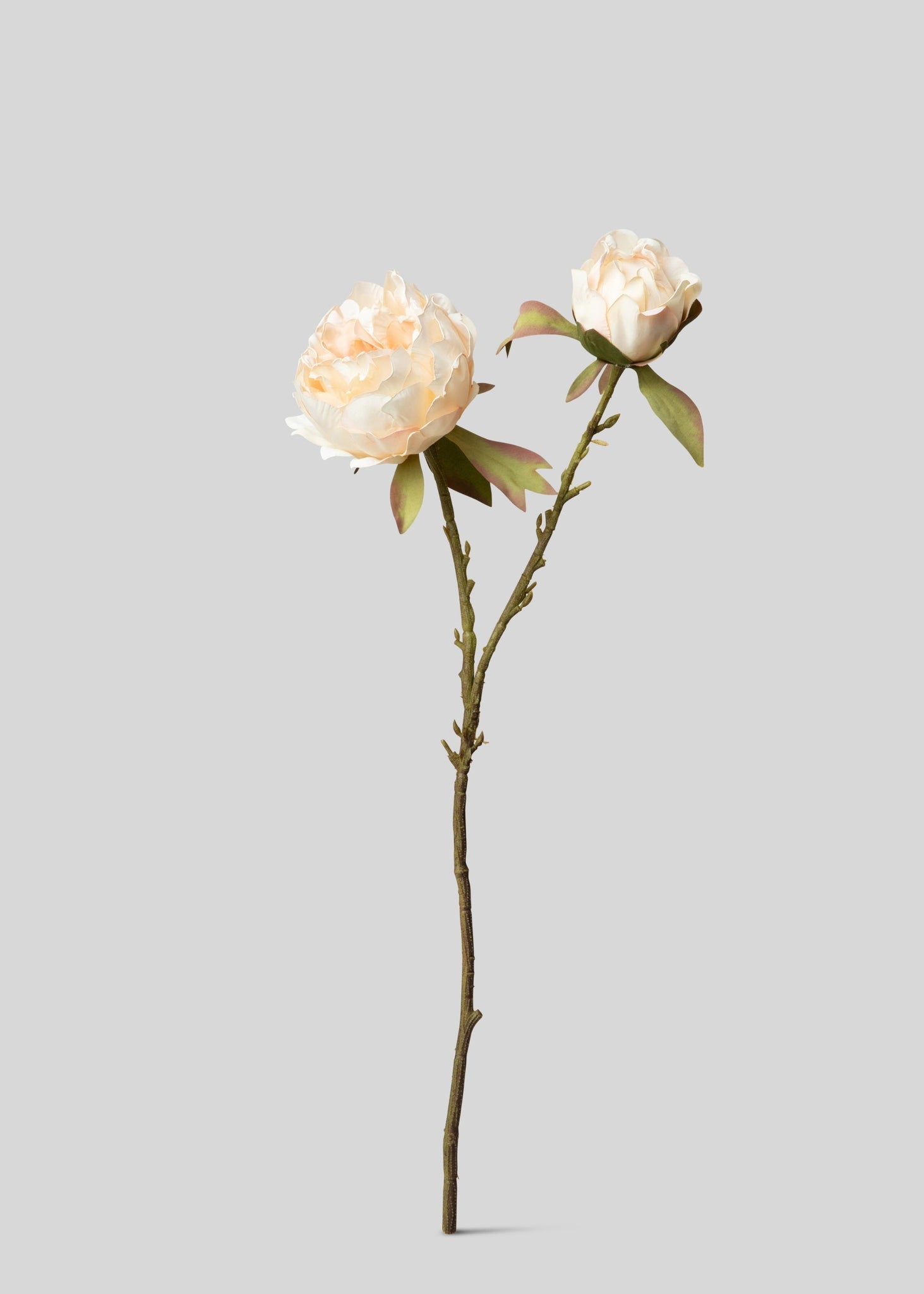 Artificial Peonies