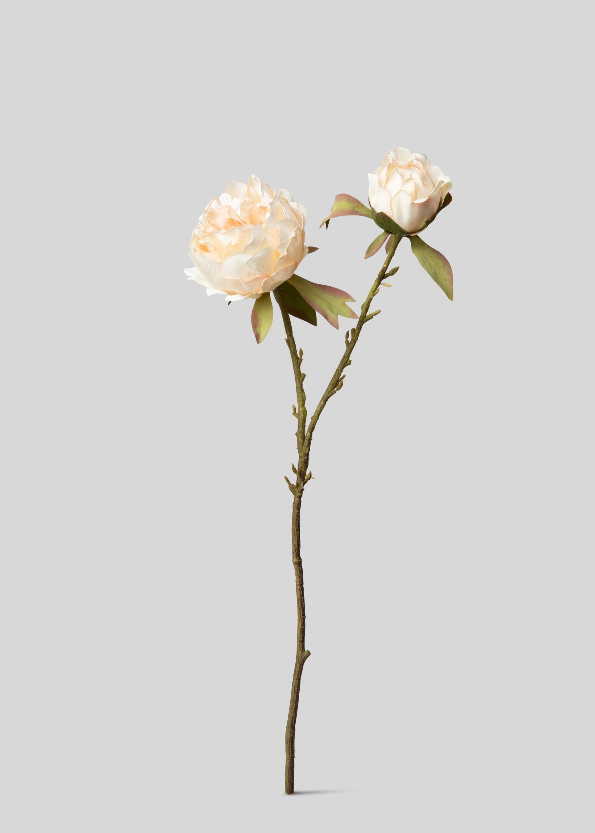 Artificial Peonies
