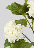 close up of crisp white faux hydrangea