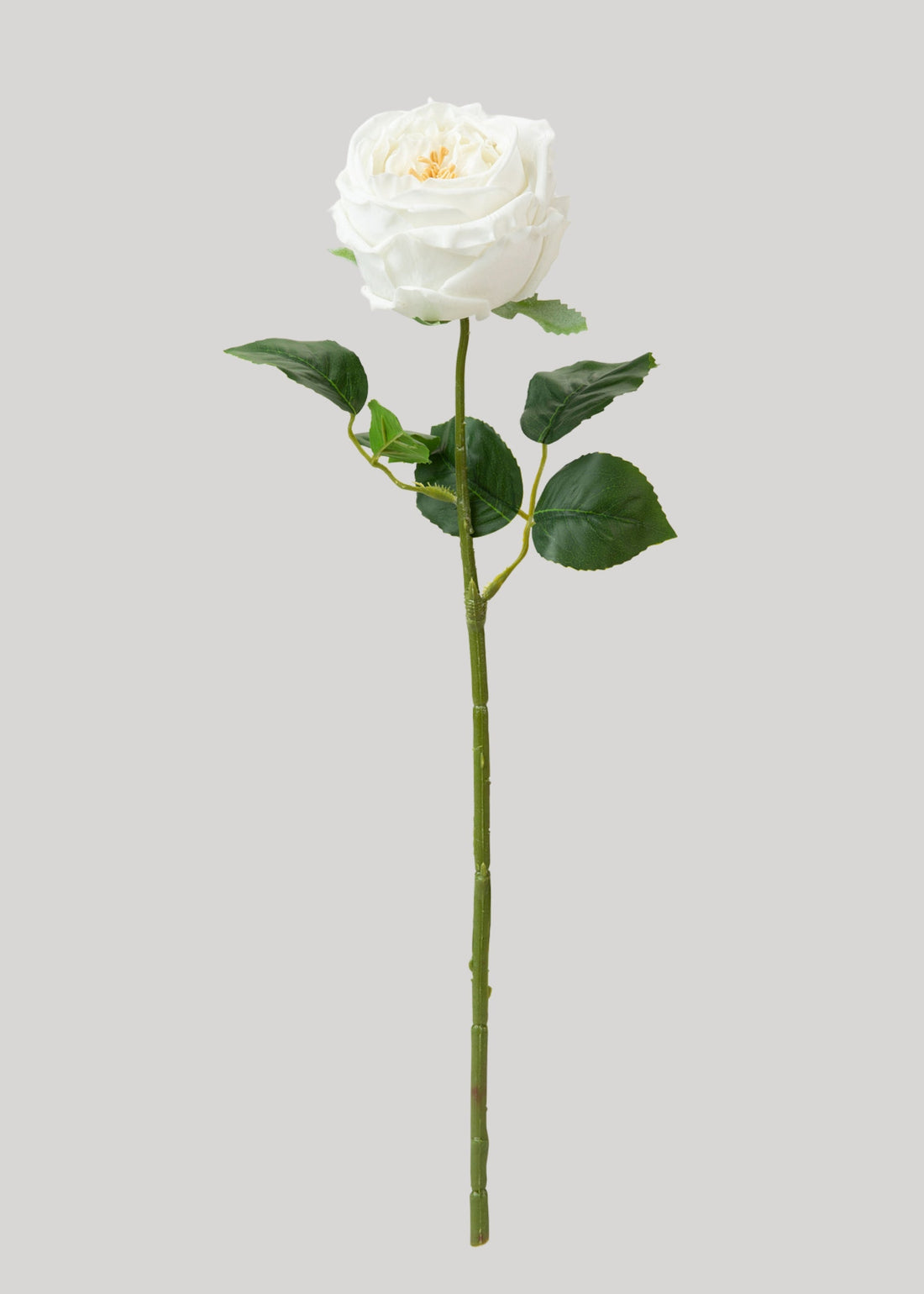 Real Touch Austin Cabbage Rose in White 