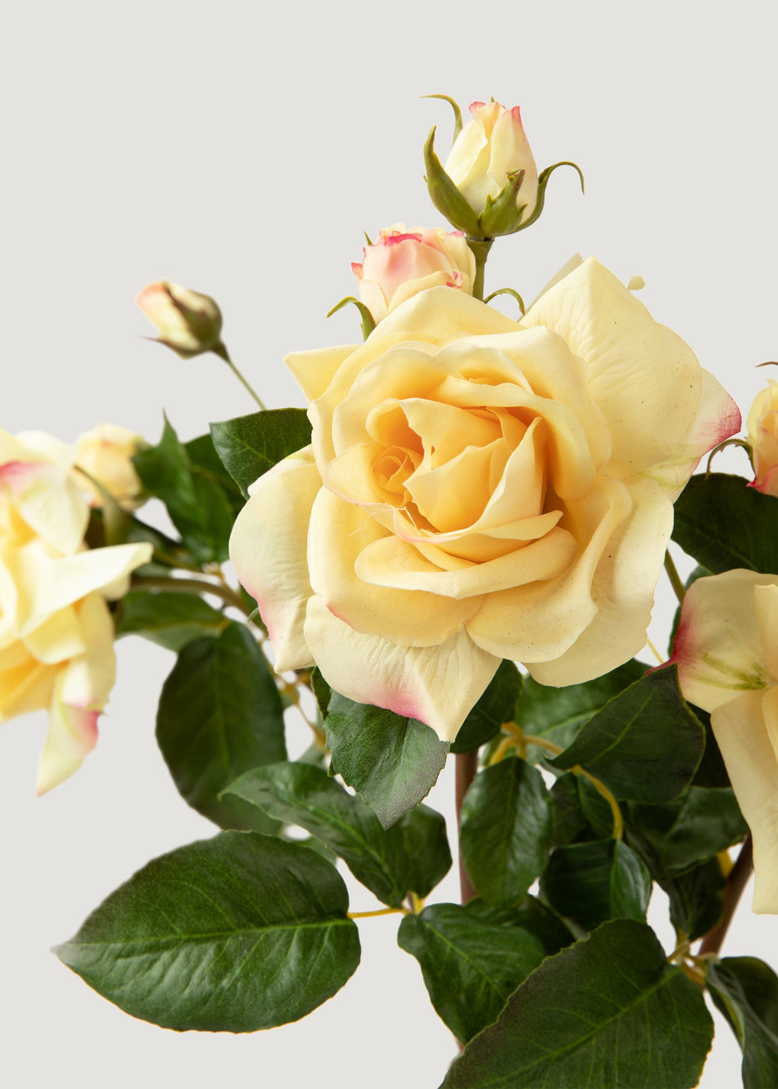 Real Touch Faux Juliet English Rose in Yellow 