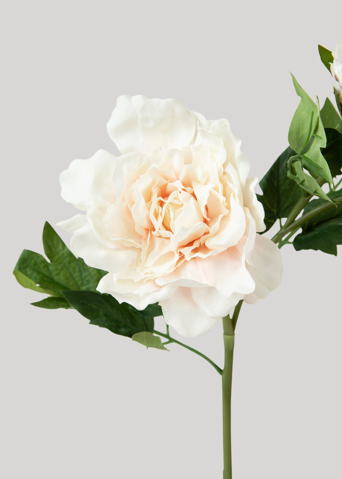 Real Touch Peony Flowers in Soft Pink 