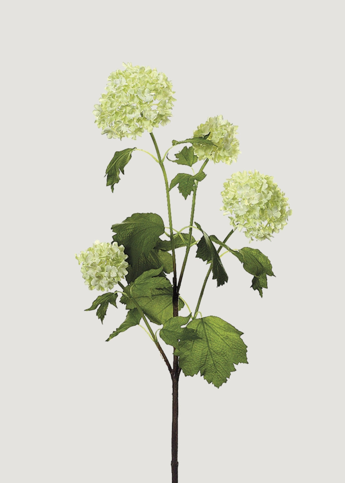Faux Snowball Flowers in Cream Green