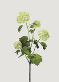 Faux Snowball Flowers in Cream Green