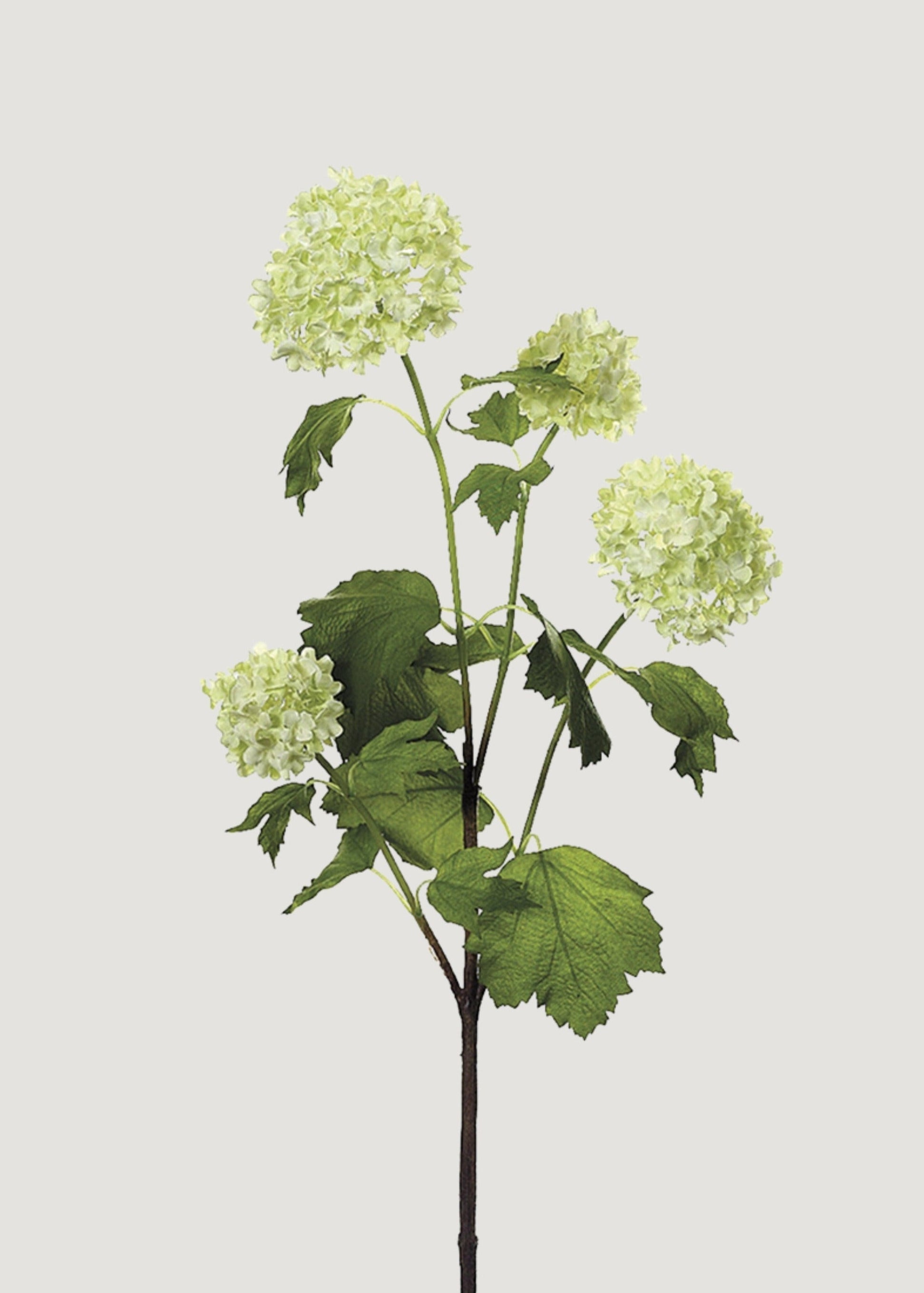 Faux Snowball Flowers in Cream Green