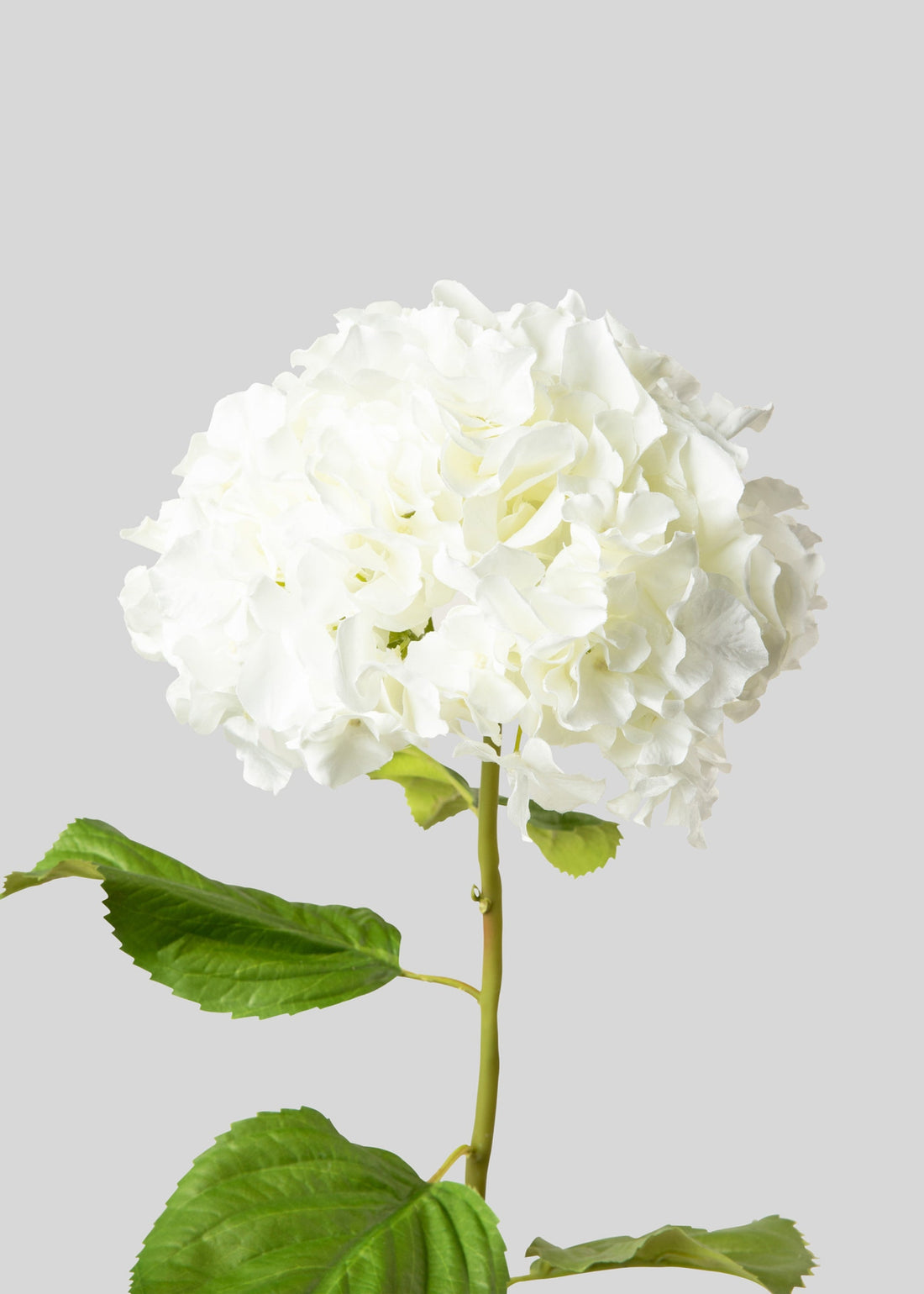 Tall Hydrangea Faux Flower in White 