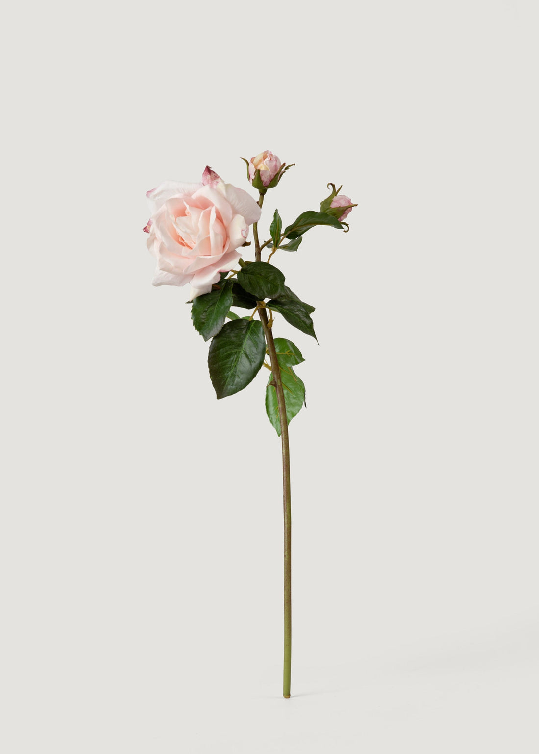 Real Touch Faux Rose in Soft Pink 