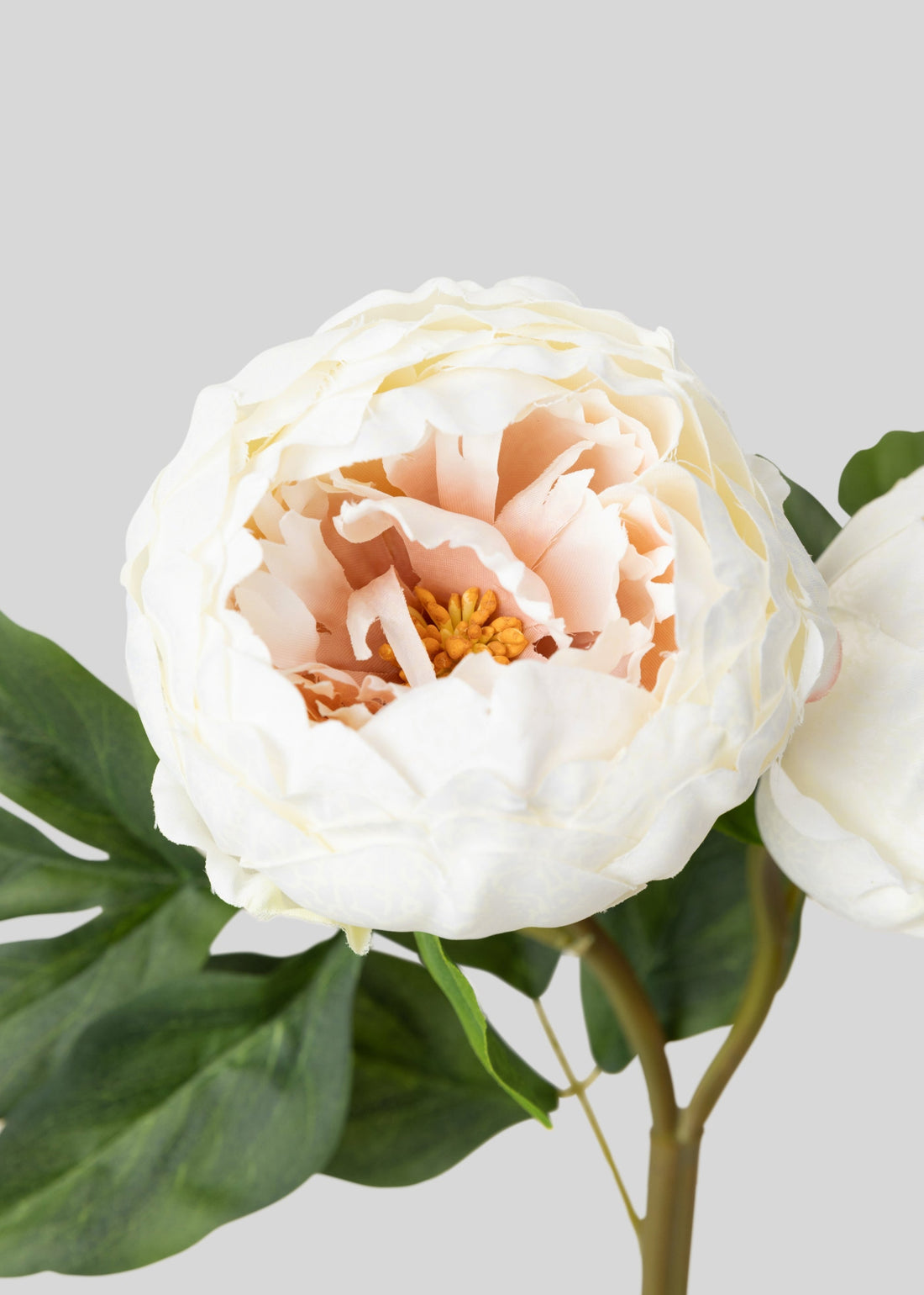 Cream Artificial Peony Flowers