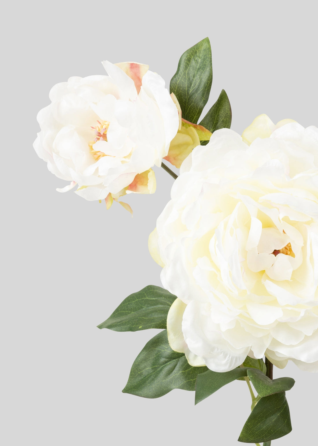 Cream Fake Blooming Peony with Bud 