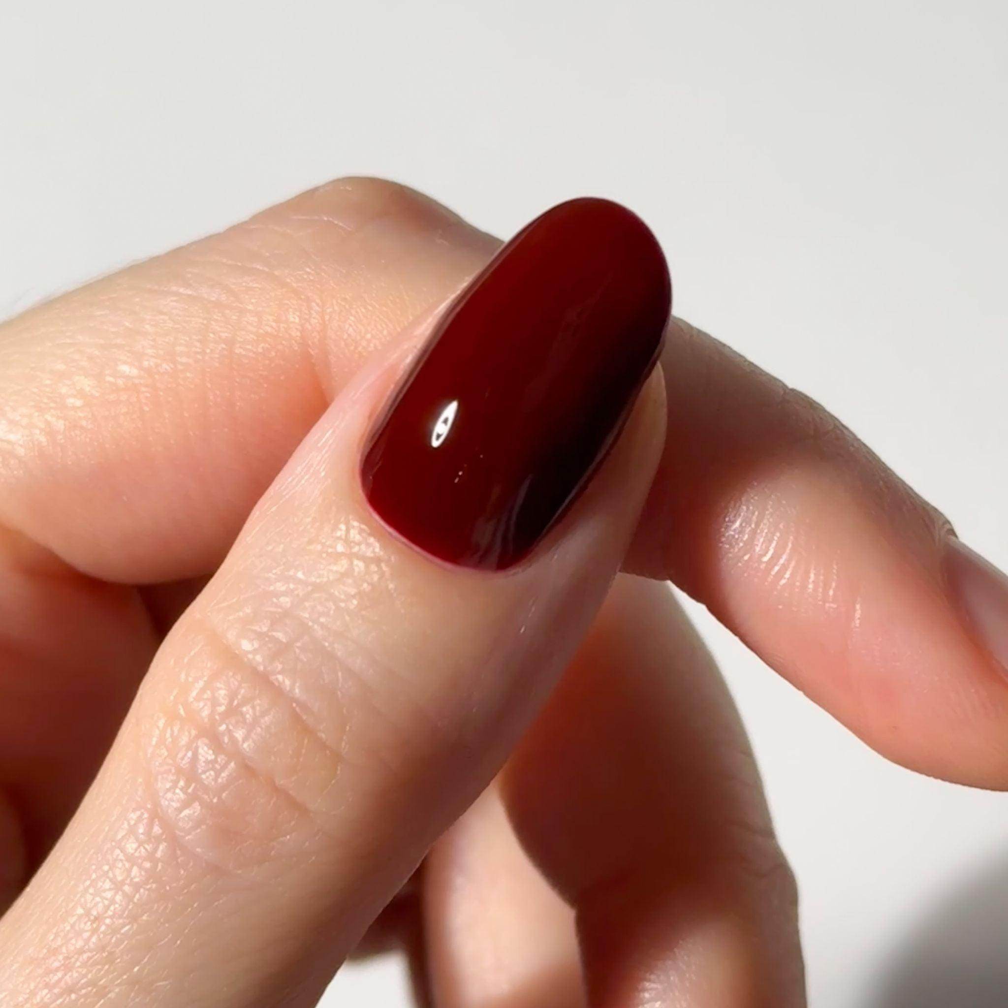 Autumn Bliss Trio - 14 Day Manicure