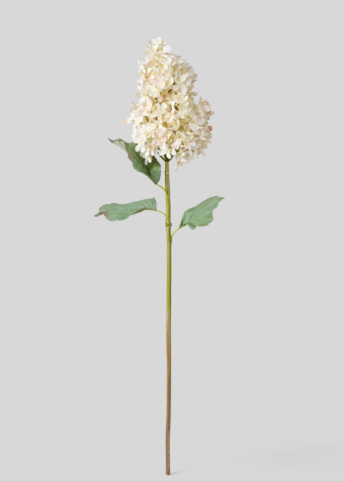 Luxe Faux Flowers Dried Look Cone Hydrangea in Beige with Hint of Blush