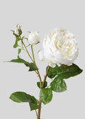 Cream White Faux Real Touch English Rose with Buds